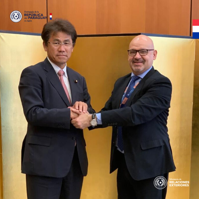 Paraguay y Japón dialogan sobre el relacionamiento bilateral